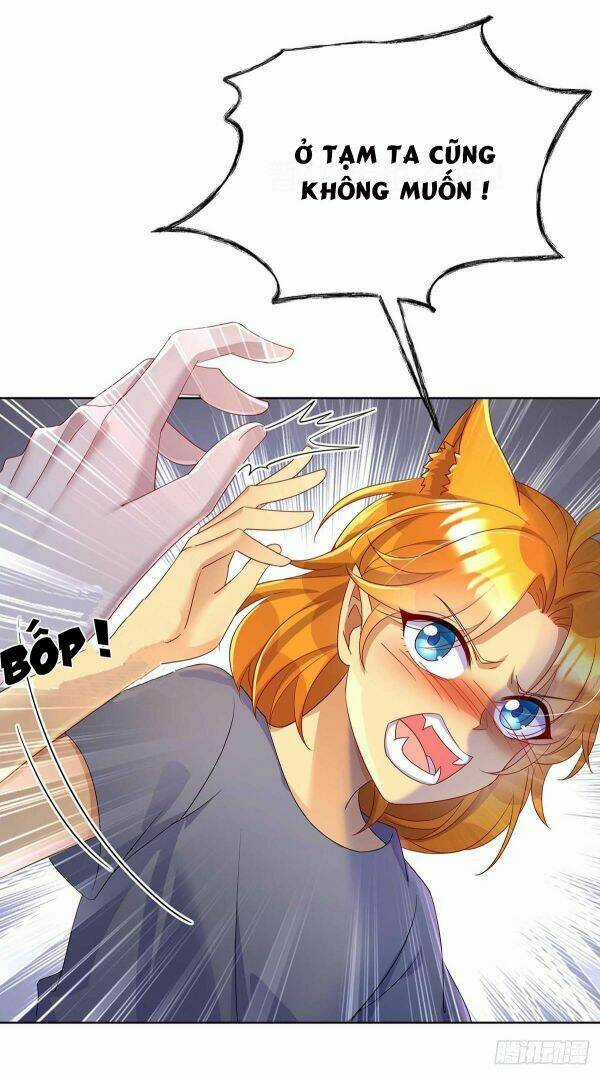 Dẫn Sói Vào Phòng - Chapter 19 - Trang 14