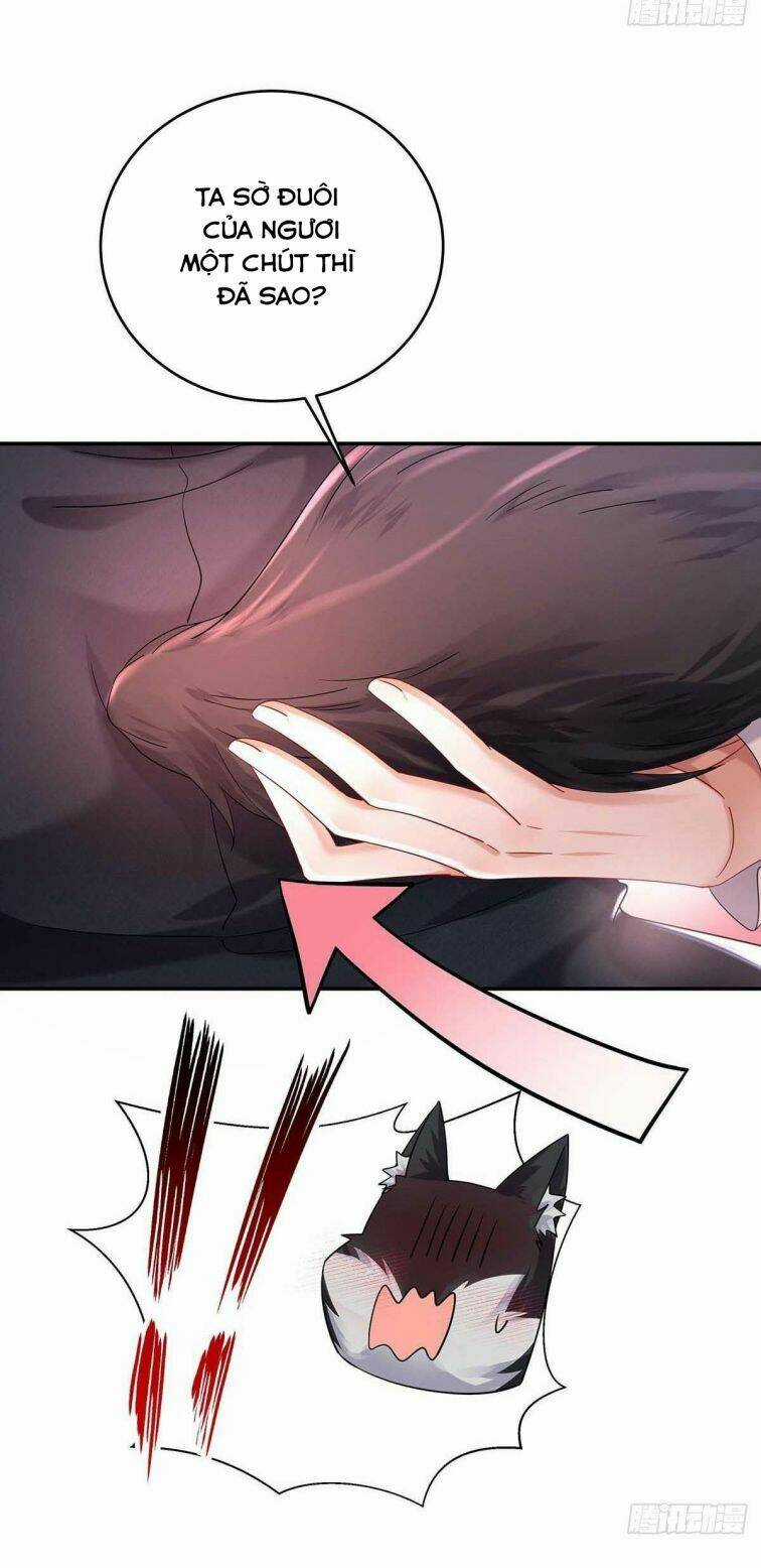 Dẫn Sói Vào Phòng - Chapter 38 - Trang 29