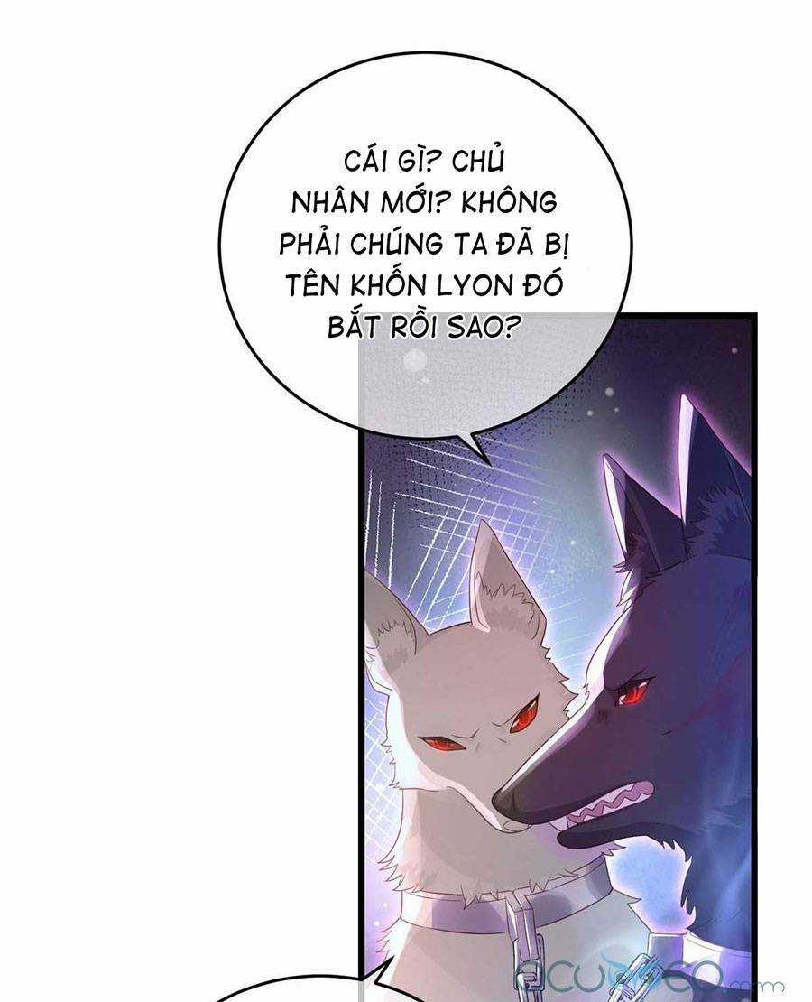 Dẫn Sói Vào Phòng - Chapter 7 - Trang 26