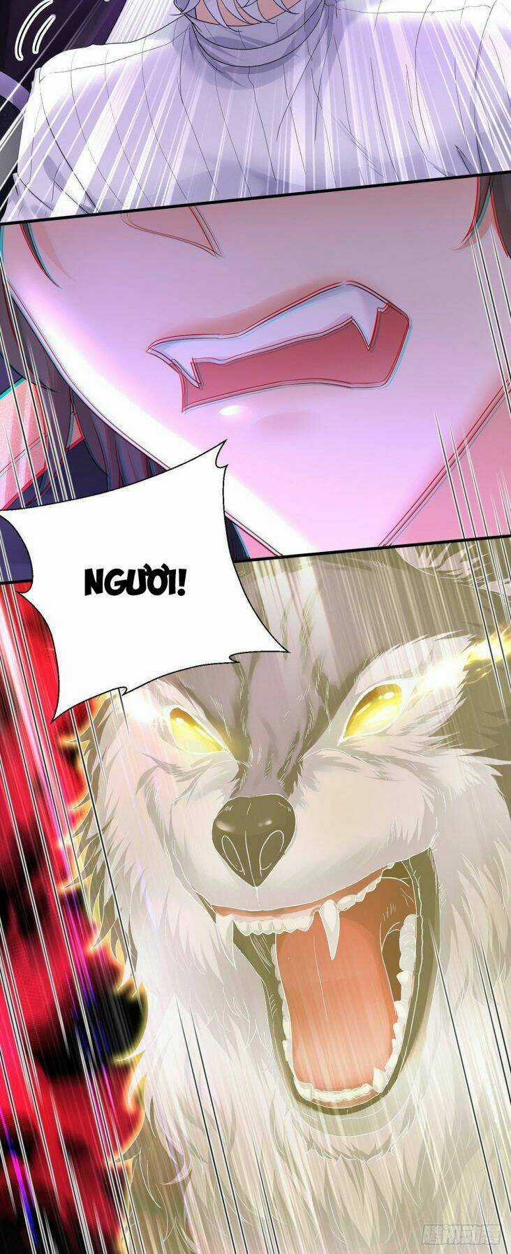 Dẫn Sói Vào Phòng - Chapter 74 - Trang 14