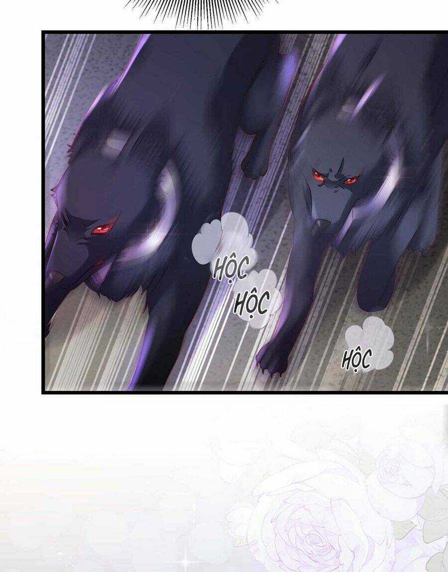 Dẫn Sói Vào Phòng - Chapter 8 - Trang 23