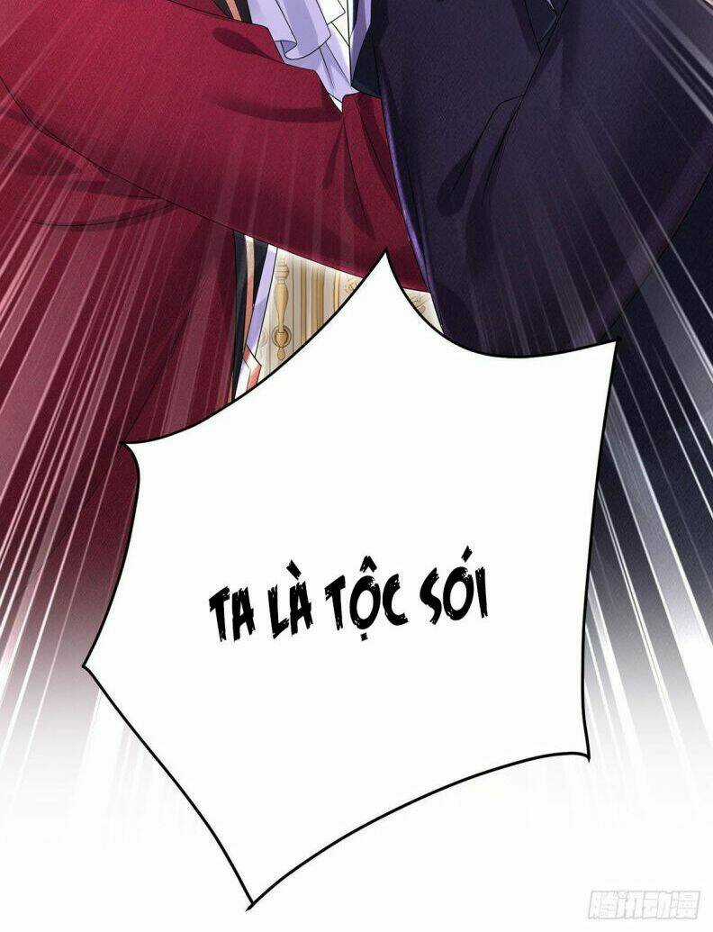 Dẫn Sói Vào Phòng - Chapter 80 - Trang 15