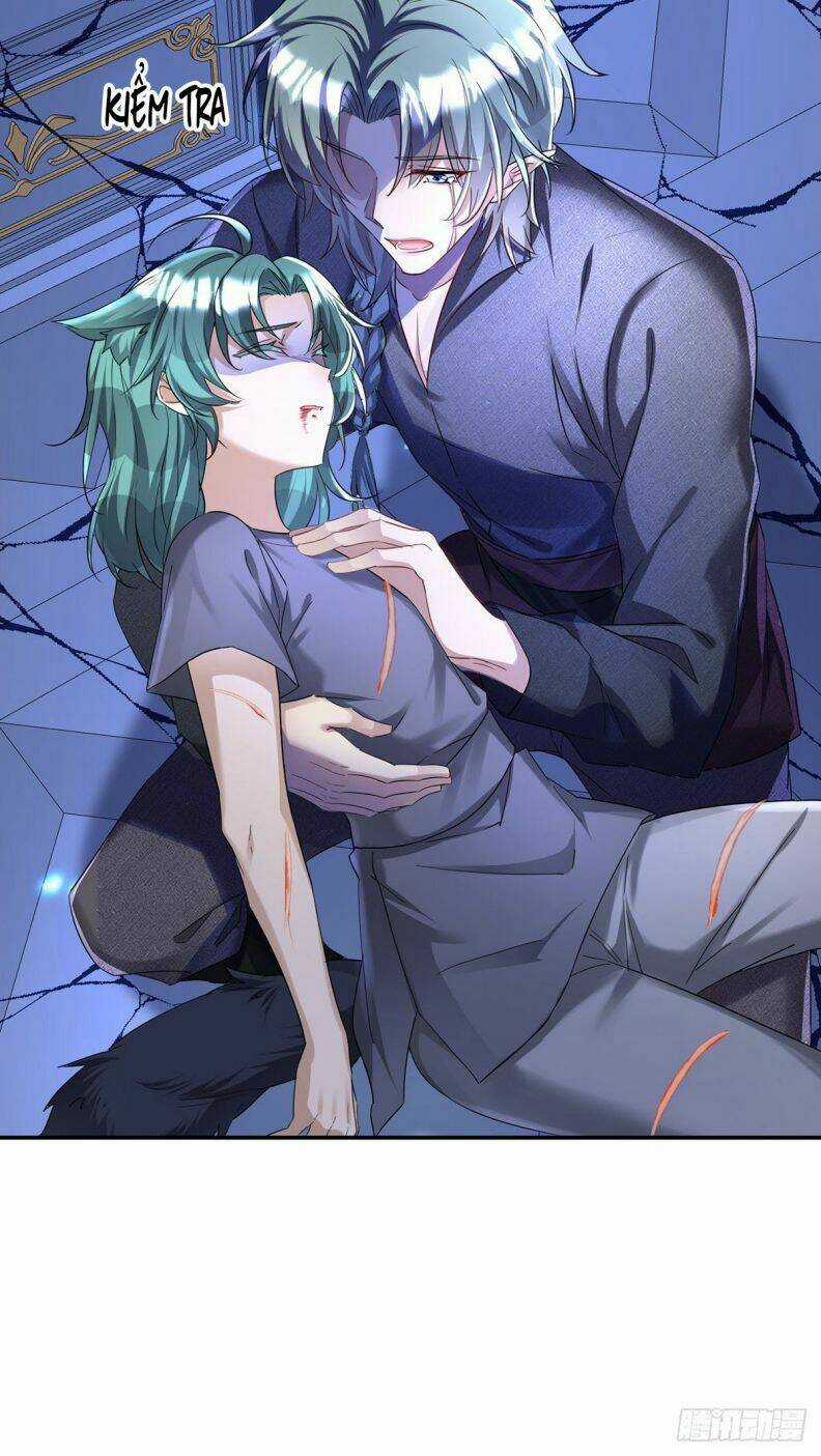 Dẫn Sói Vào Phòng - Chapter 88 - Trang 14