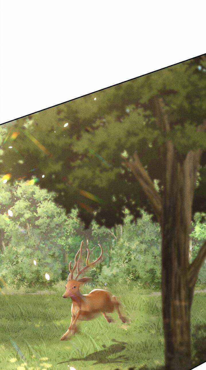 Đan Tiêu Vạn Dặm - Chương 1 - Trang 3