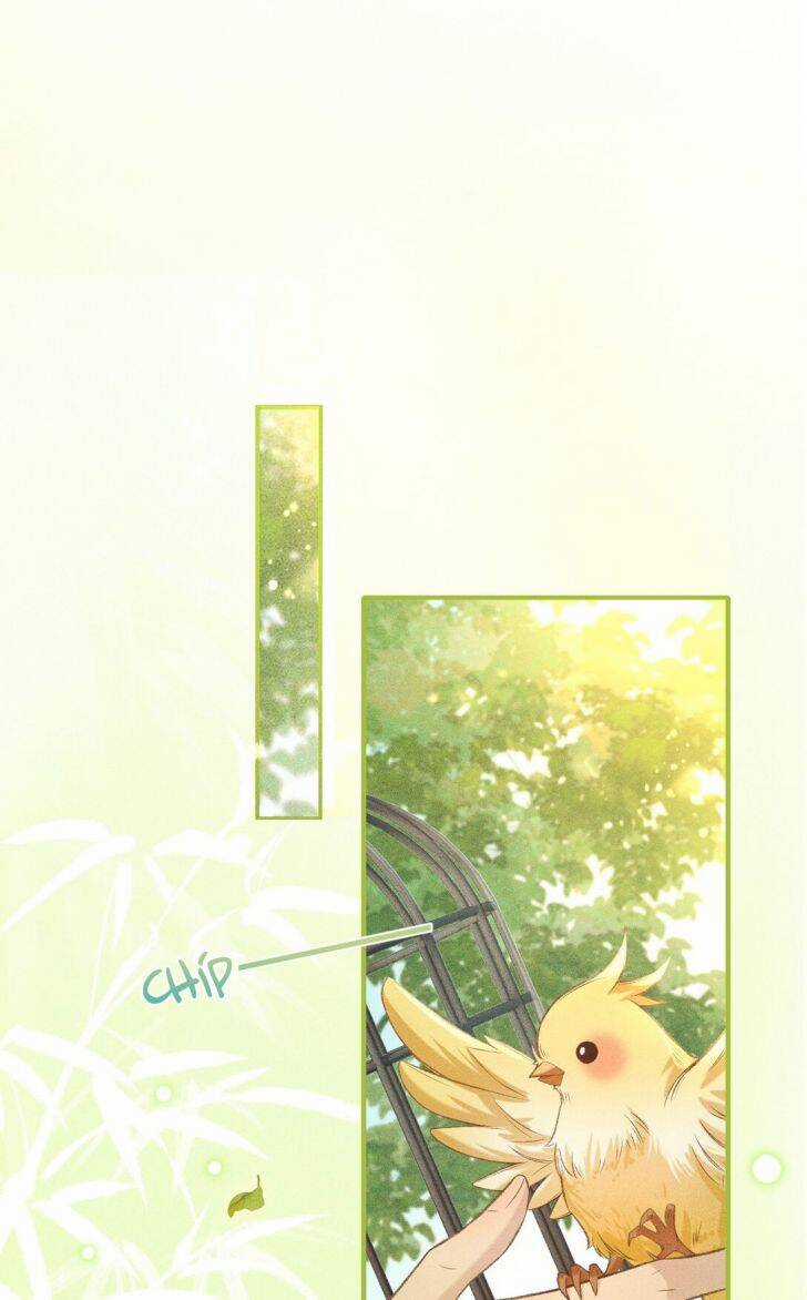 Đan Tiêu Vạn Dặm - Chương 3 - Trang 50