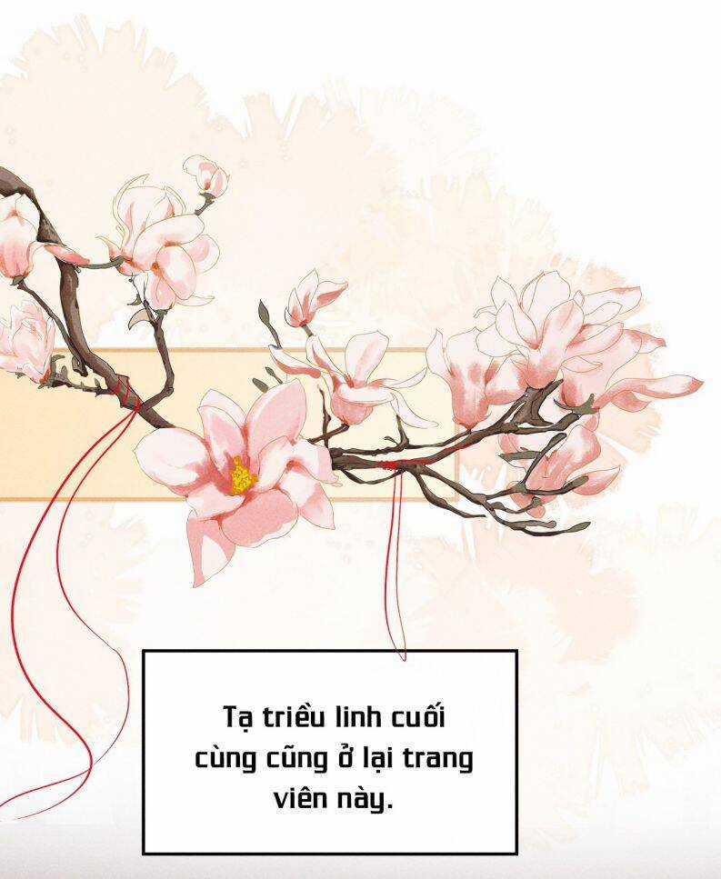 Đan Tiêu Vạn Dặm - Chương 43 - Trang 25