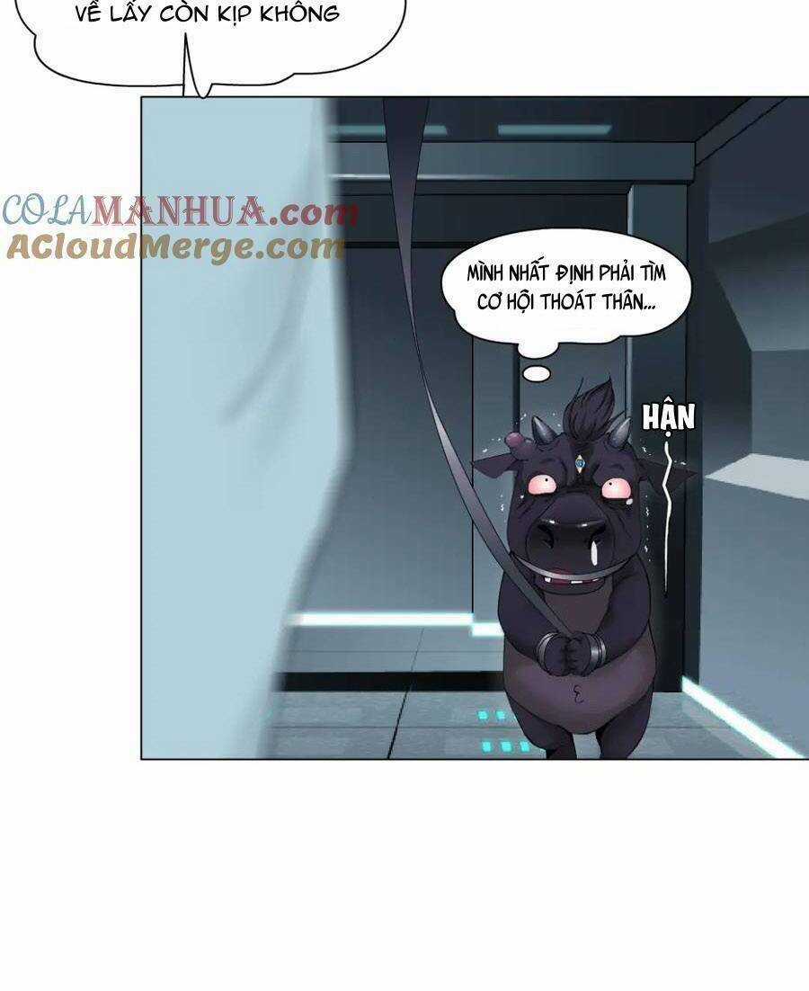 Đằng Nữ - Chapter 205 - Trang 24