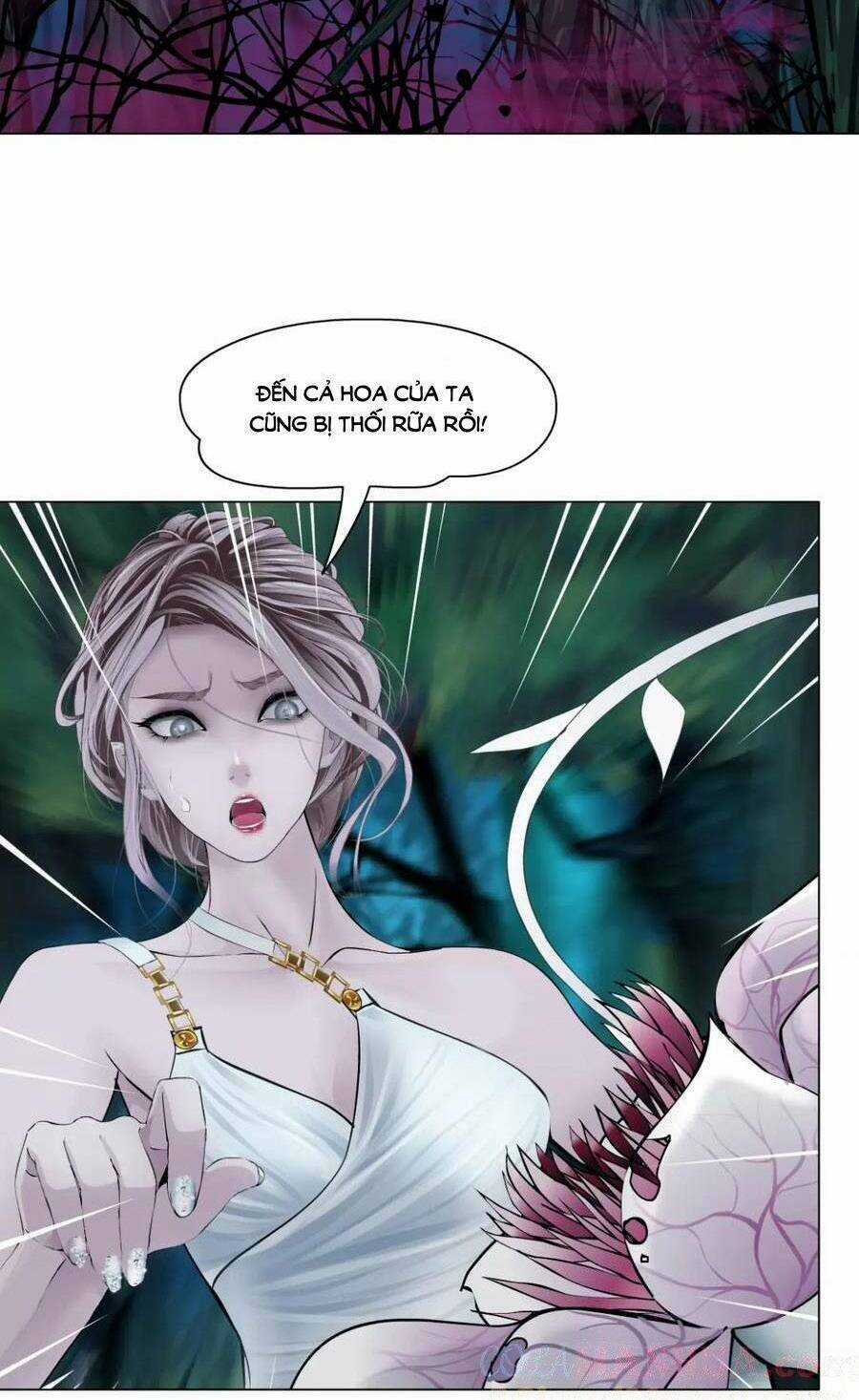 Đằng Nữ - Chapter 228 - Trang 19