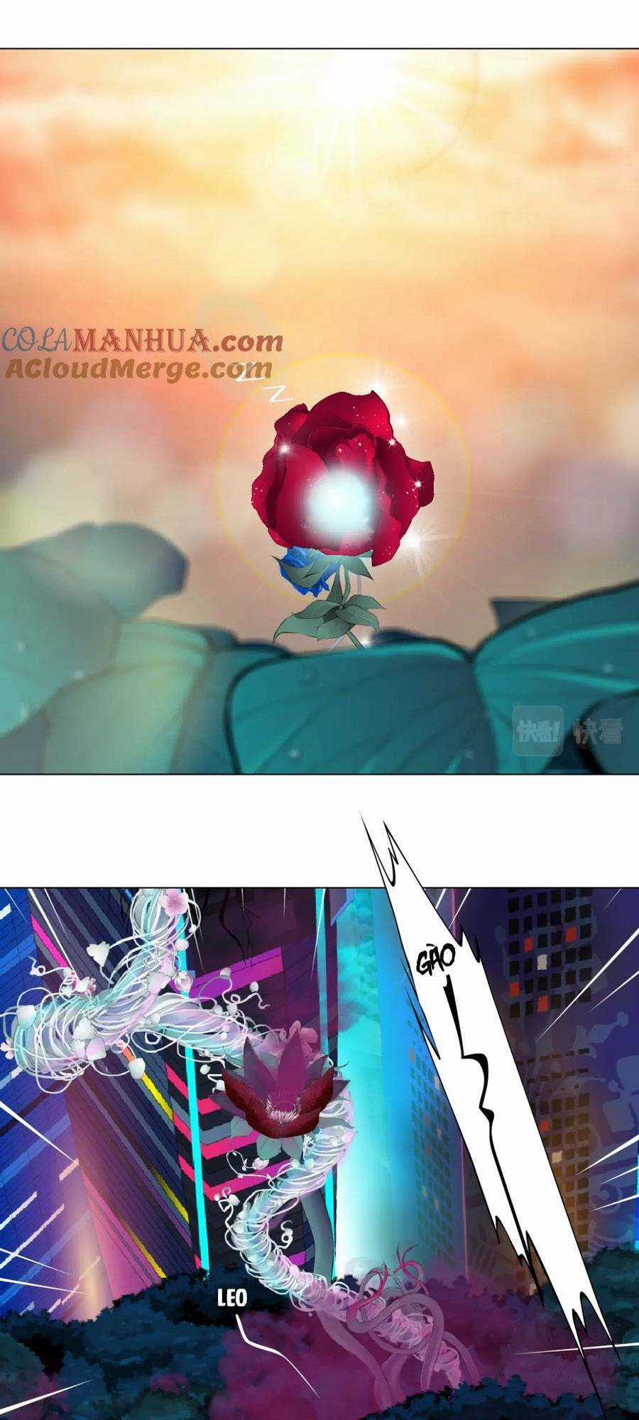 Đằng Nữ - Chapter 229 - Trang 1