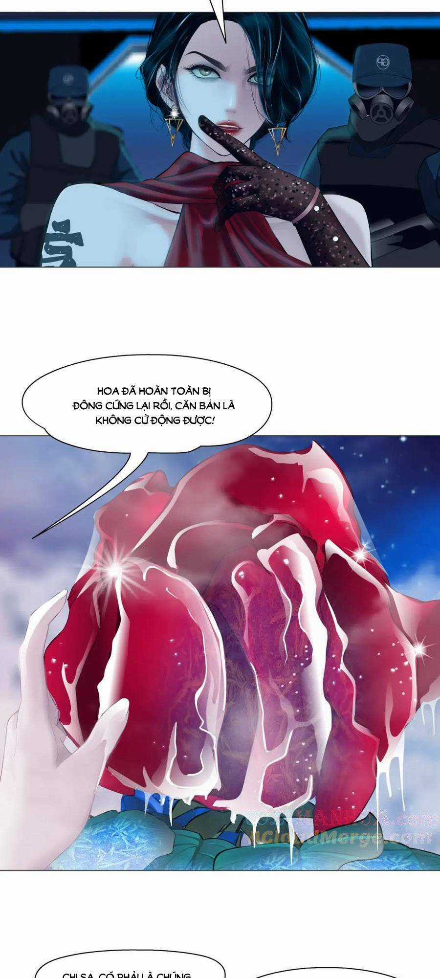 Đằng Nữ - Chapter 232 - Trang 11