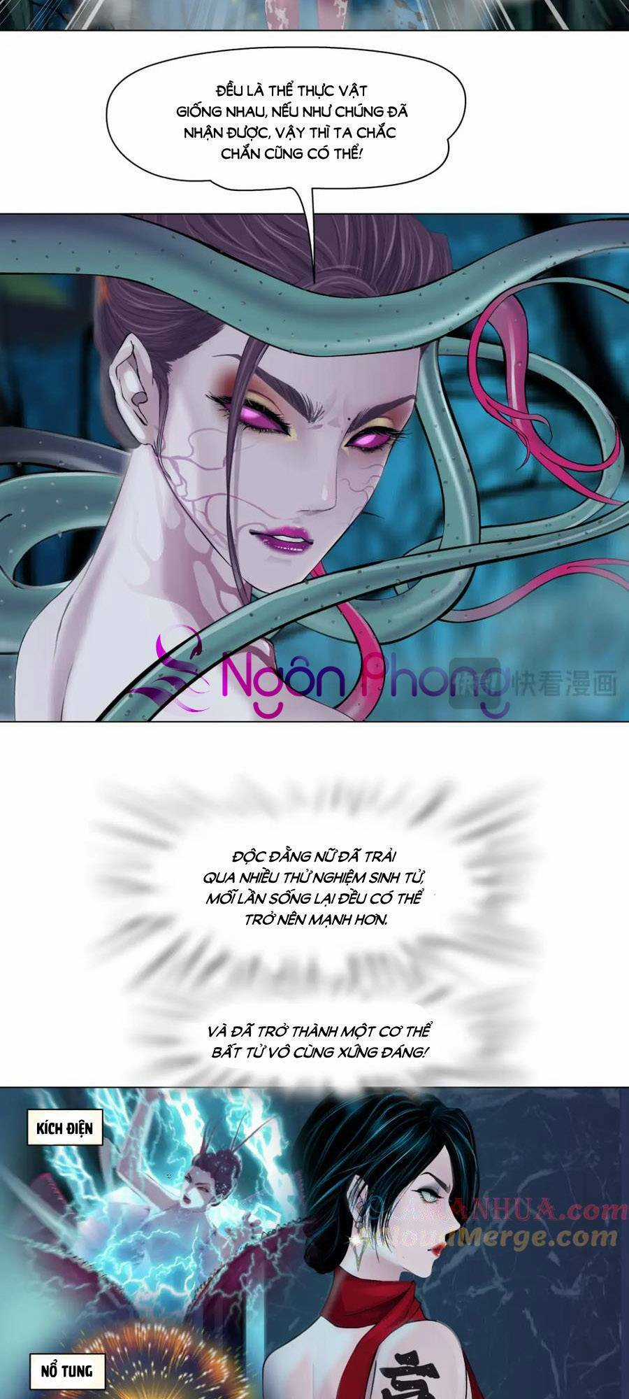 Đằng Nữ - Chapter 233 - Trang 7