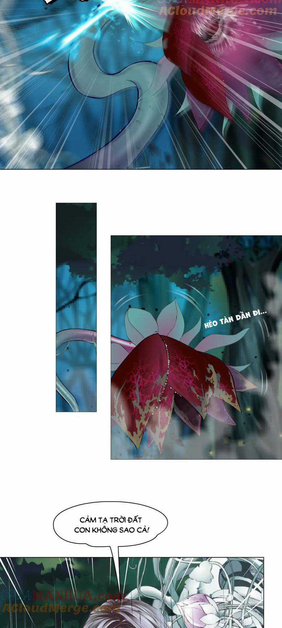 Đằng Nữ - Chapter 234 - Trang 4