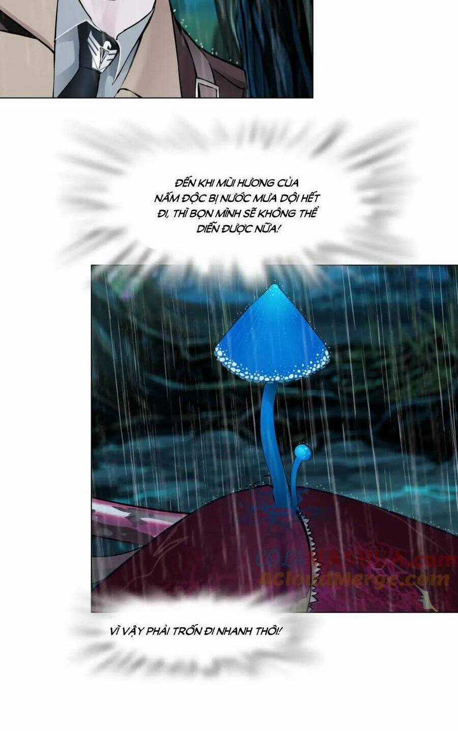 Đằng Nữ - Chapter 236 - Trang 23