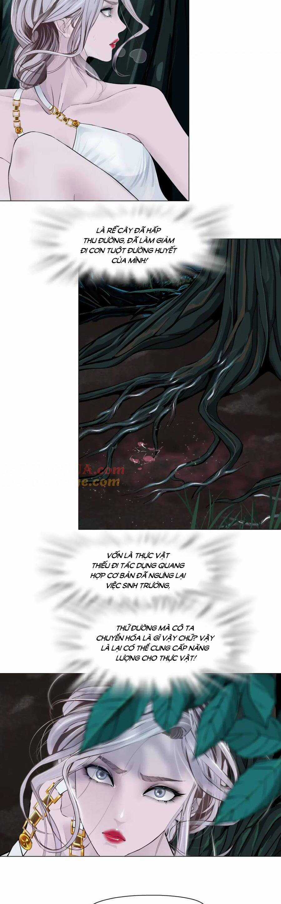 Đằng Nữ - Chapter 263 - Trang 15