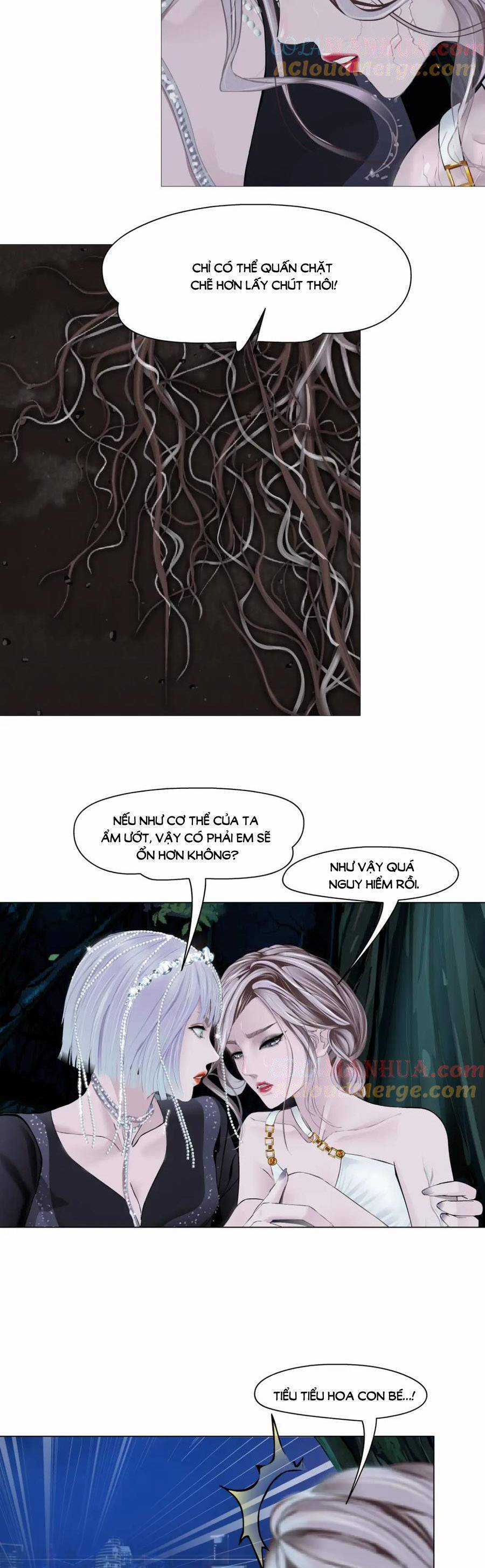 Đằng Nữ - Chapter 263 - Trang 6