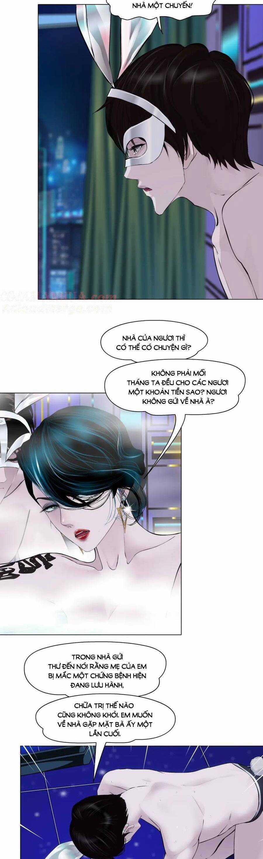 Đằng Nữ - Chapter 264 - Trang 5