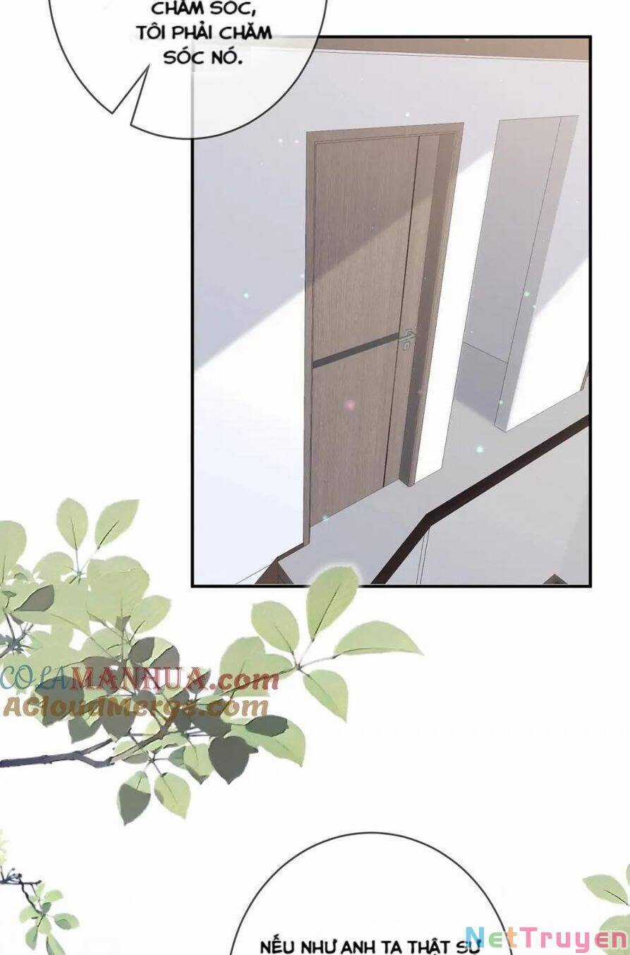 Danh Môn Chí Ái - Chương 444.2 - Trang 23