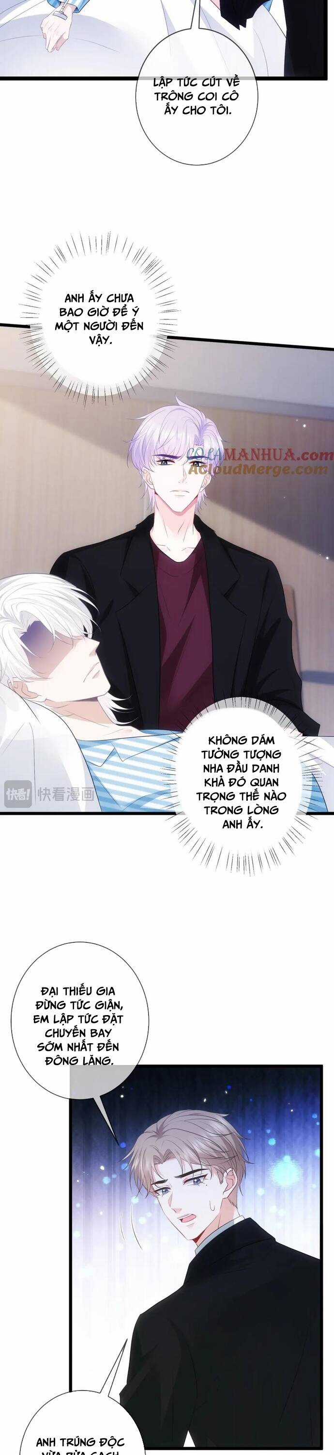 Danh Môn Chí Ái - Chương 498 - Trang 5