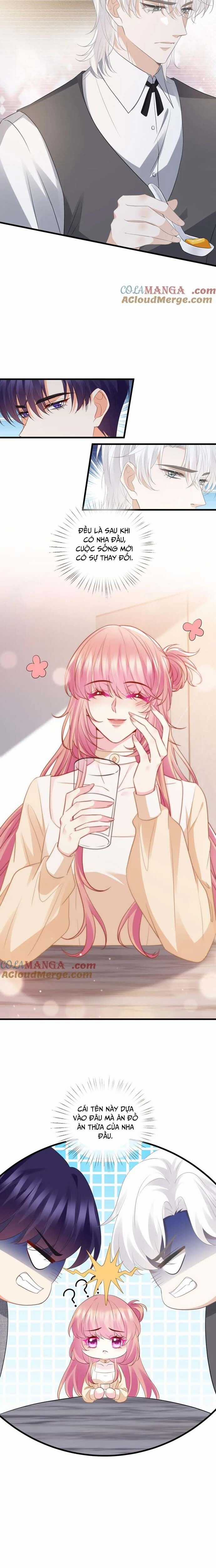 Danh Môn Chí Ái - Chương 530 - Trang 4