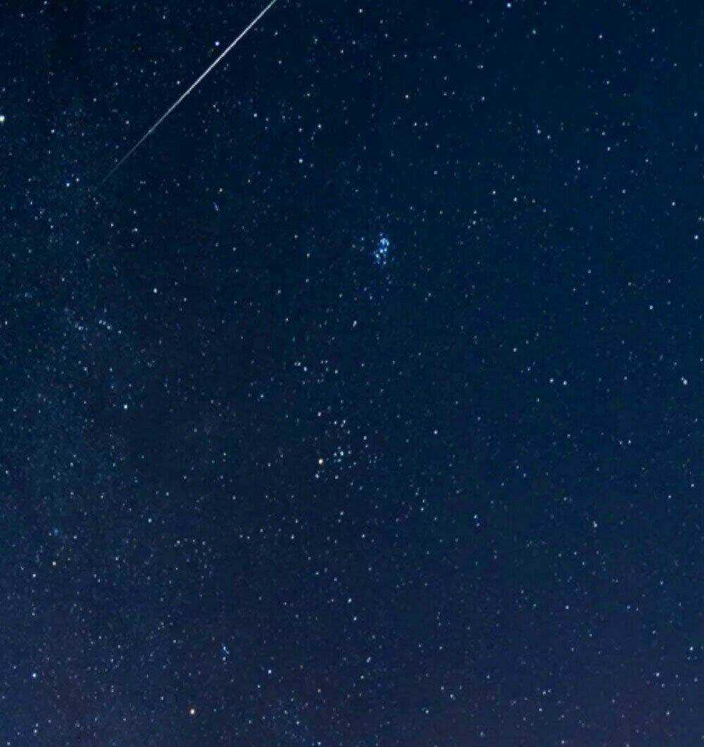 Danh Môn Độc Sủng Ái Thê - Chapter 33 - Trang 15