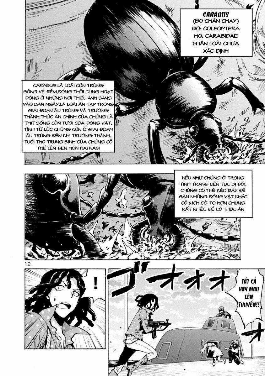 Đảo Côn Trùng - Chapter 22 - Trang 13