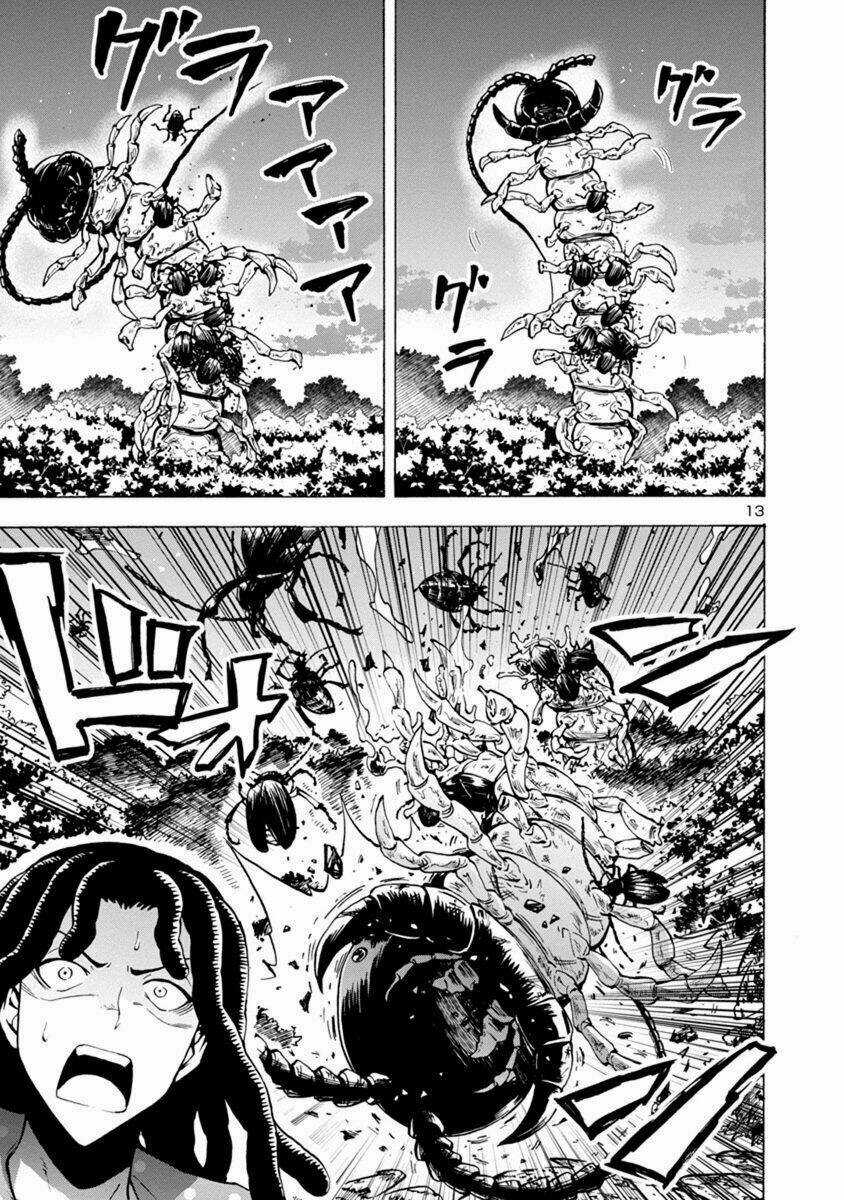 Đảo Côn Trùng - Chapter 22 - Trang 14