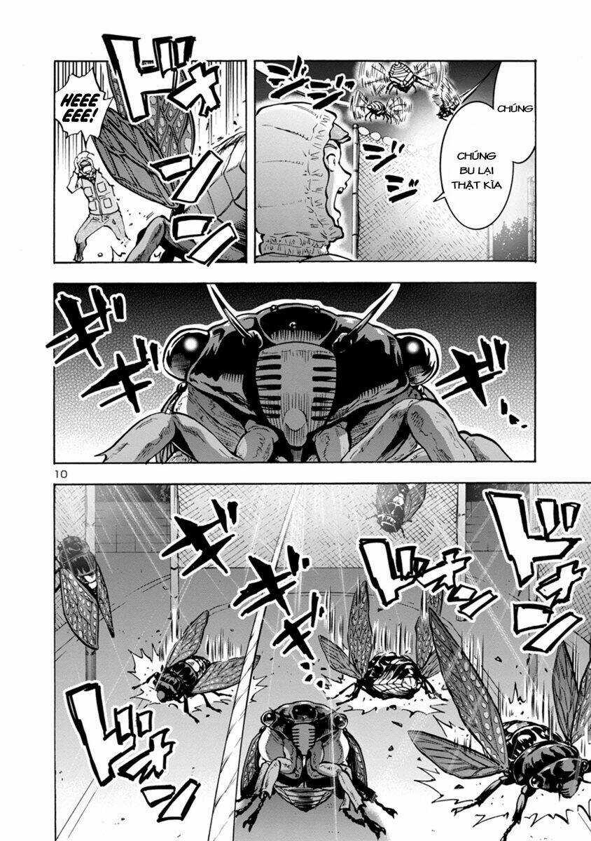 Đảo Côn Trùng - Chapter 33 - Trang 29