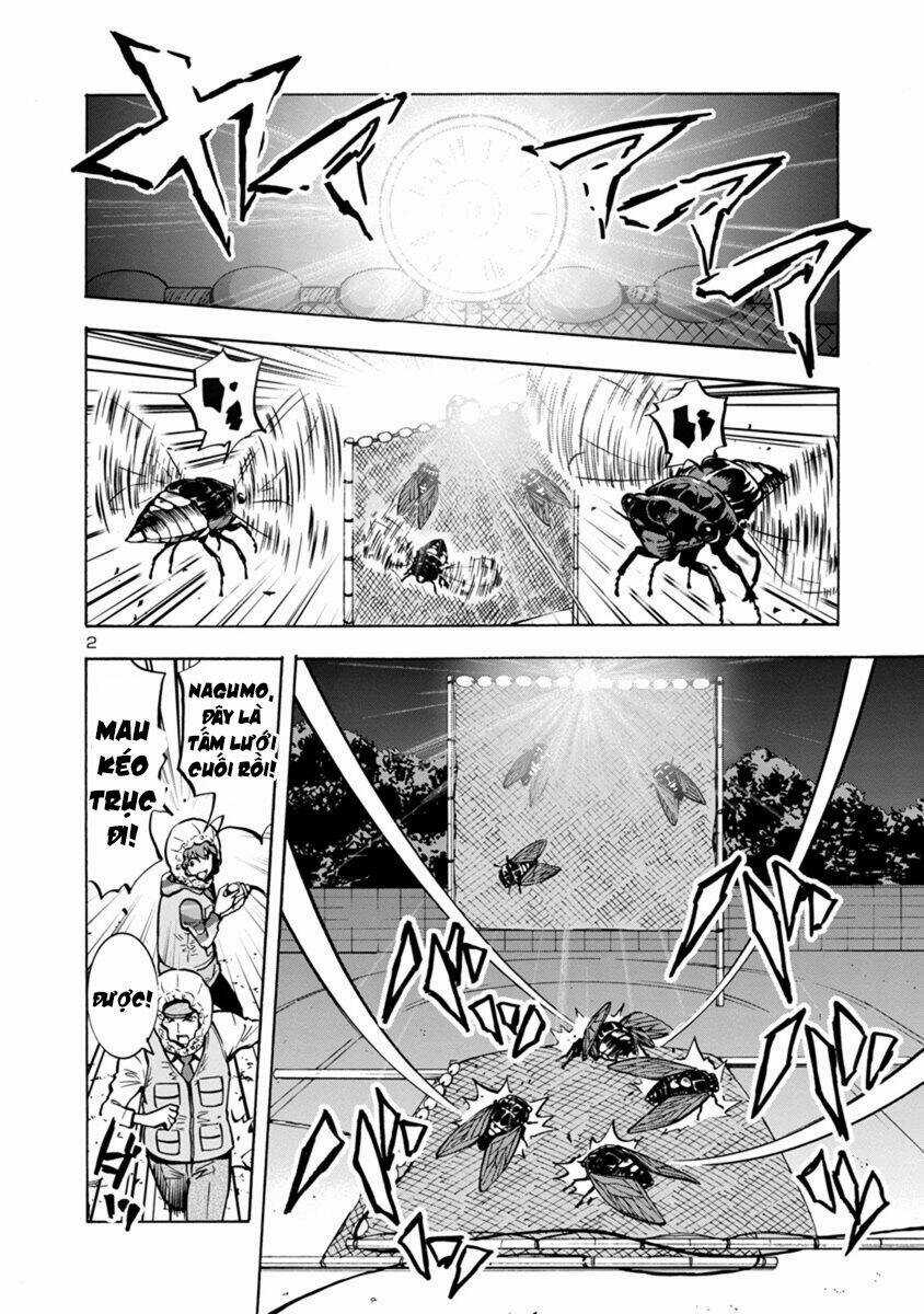 Đảo Côn Trùng - Chapter 33 - Trang 39