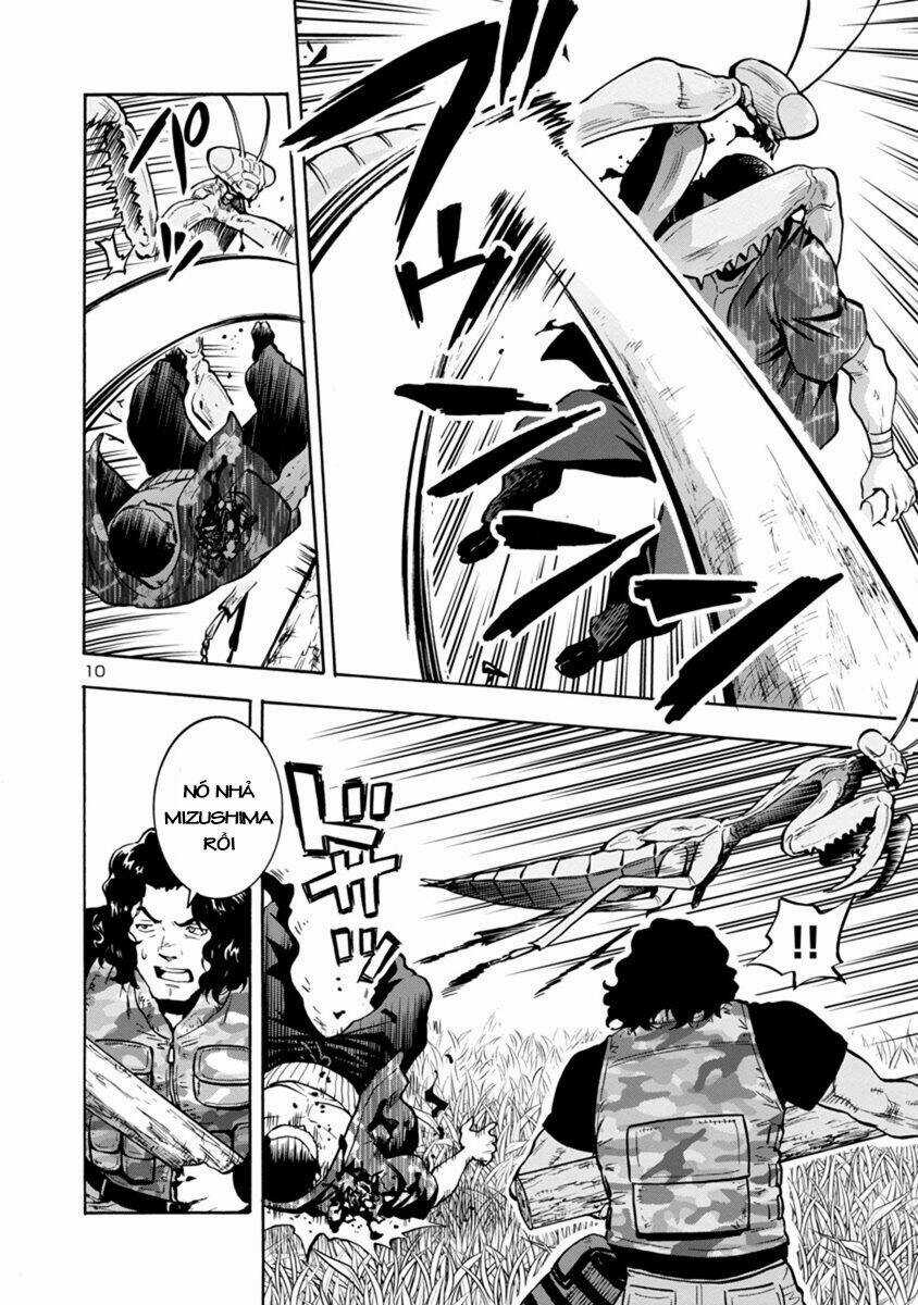 Đảo Côn Trùng - Chapter 38 - Trang 11