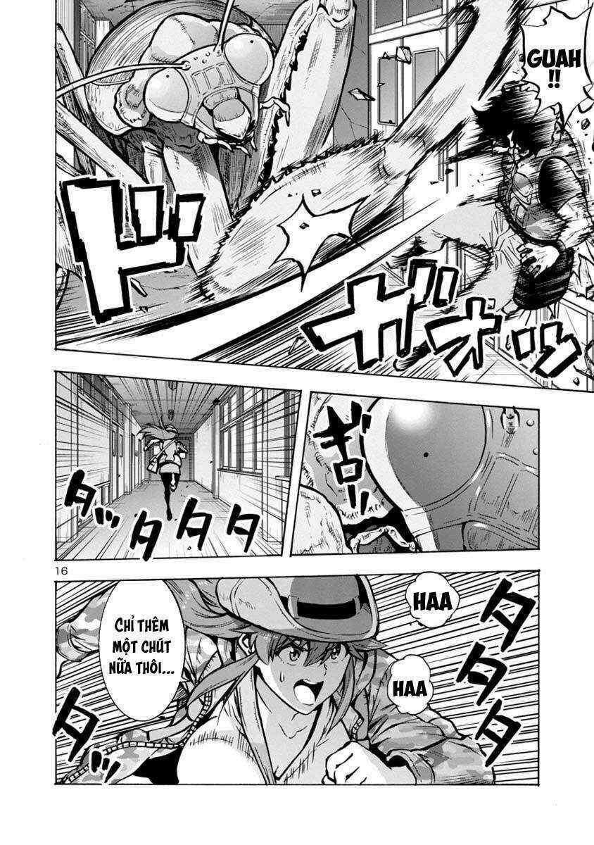 Đảo Côn Trùng - Chapter 42 - Trang 31