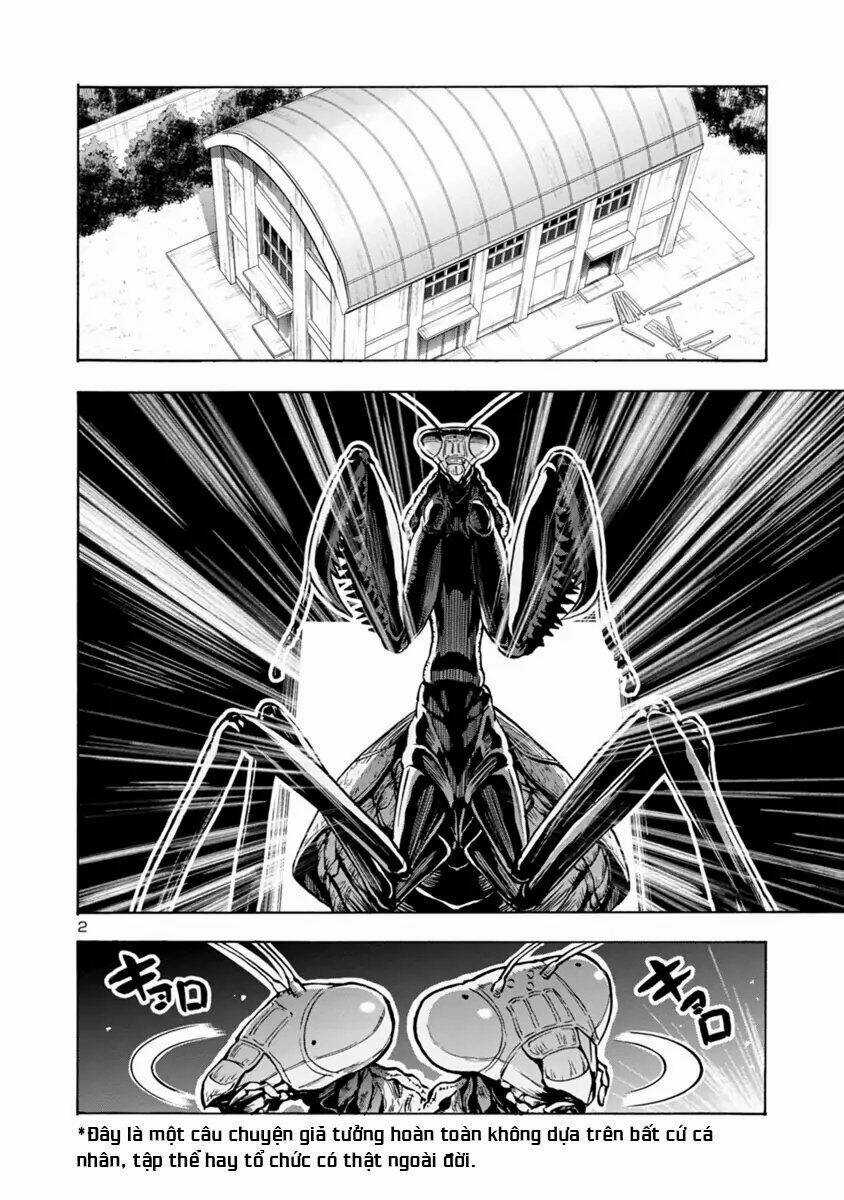 Đảo Côn Trùng - Chapter 43 - Trang 3