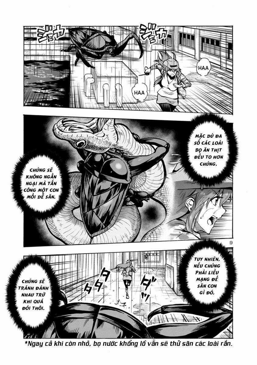 Đảo Côn Trùng - Chapter 49 - Trang 31