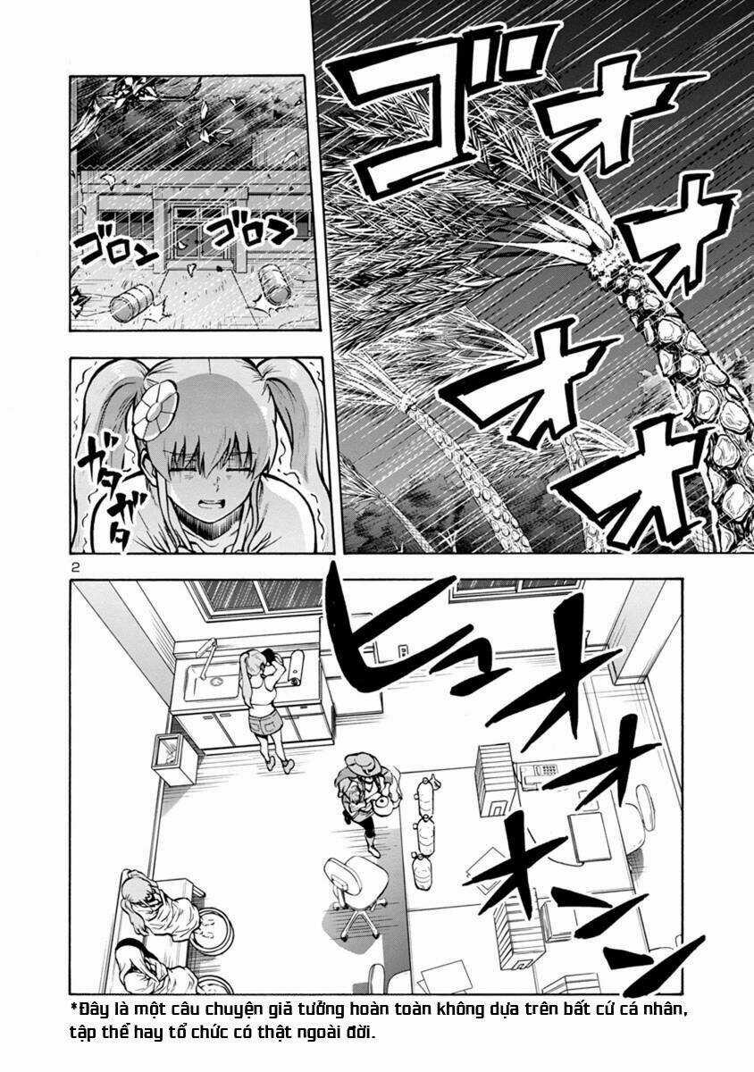 Đảo Côn Trùng - Chapter 49 - Trang 42