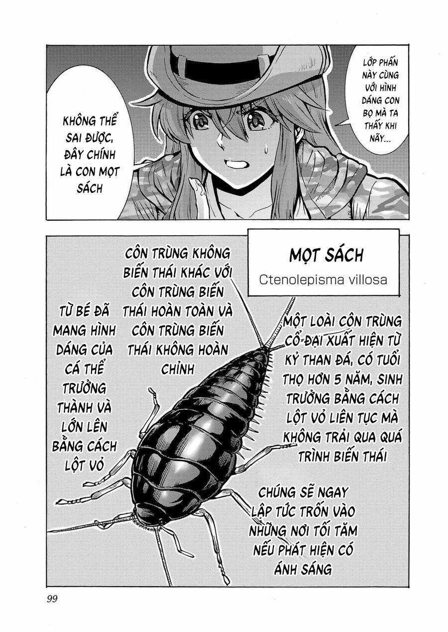 Đảo Côn Trùng - Chapter 64 - Trang 22