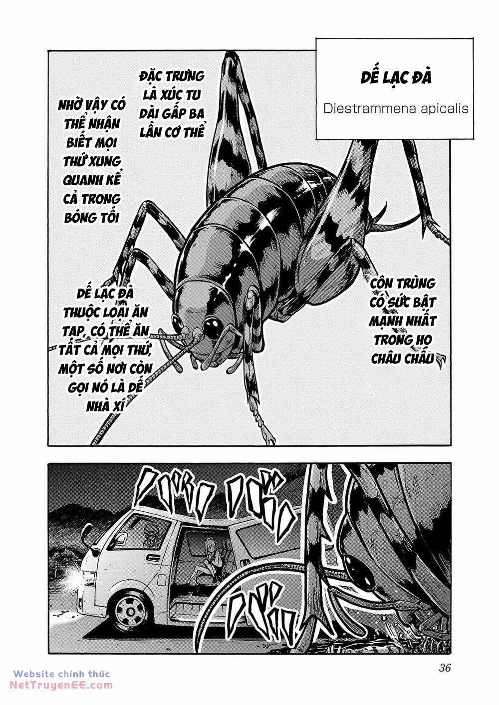 Đảo Côn Trùng - Chapter 66 - Trang 35