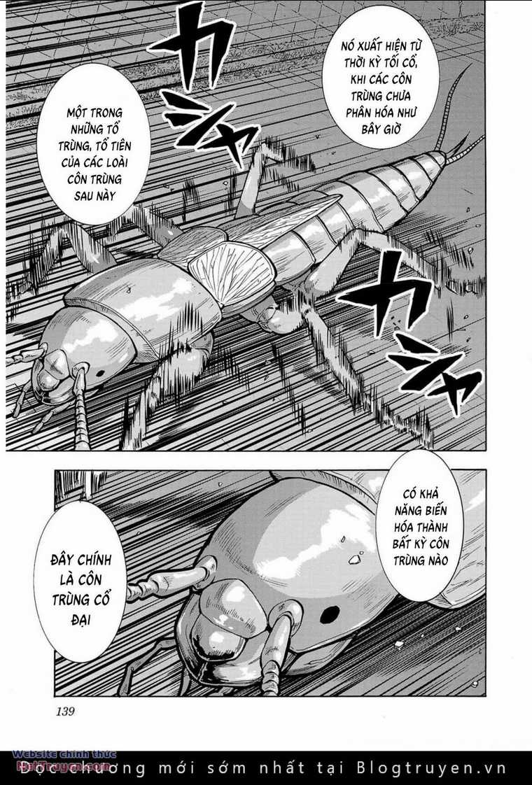 Đảo Côn Trùng - Chapter 69 - Trang 24