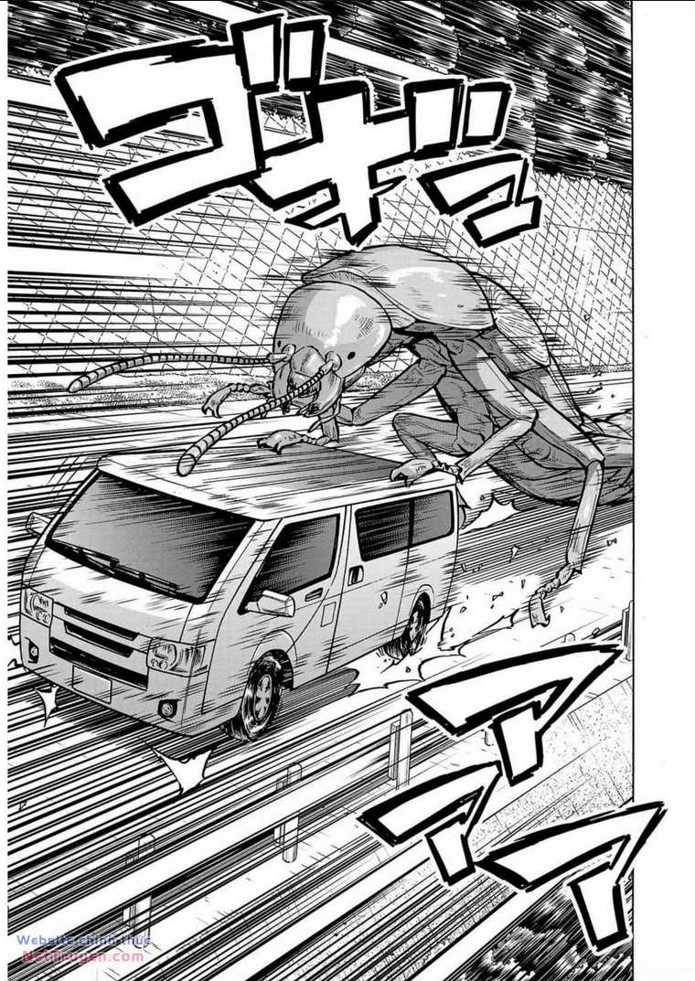 Đảo Côn Trùng - Chapter 69 - Trang 30