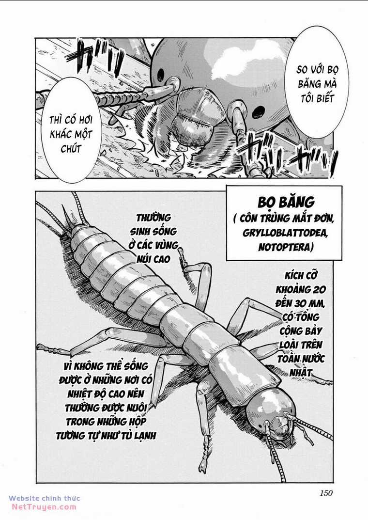 Đảo Côn Trùng - Chapter 69 - Trang 35