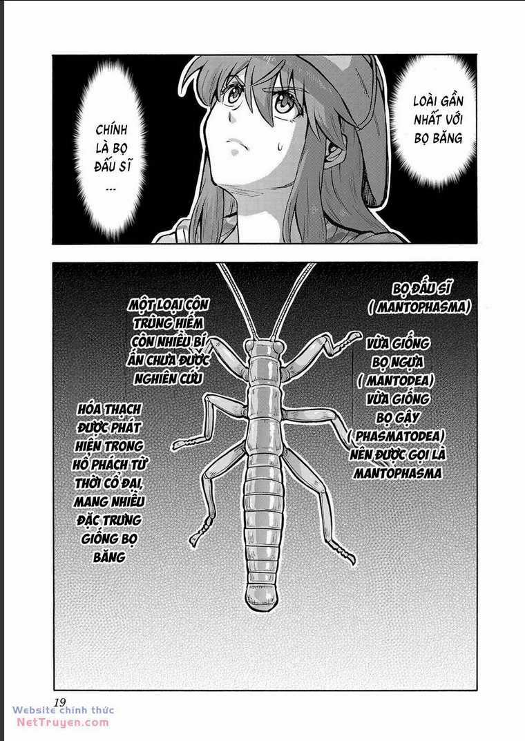 Đảo Côn Trùng - Chapter 70 - Trang 18