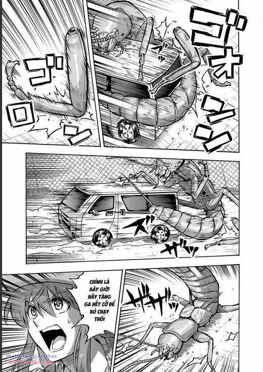 Đảo Côn Trùng - Chapter 70 - Trang 30