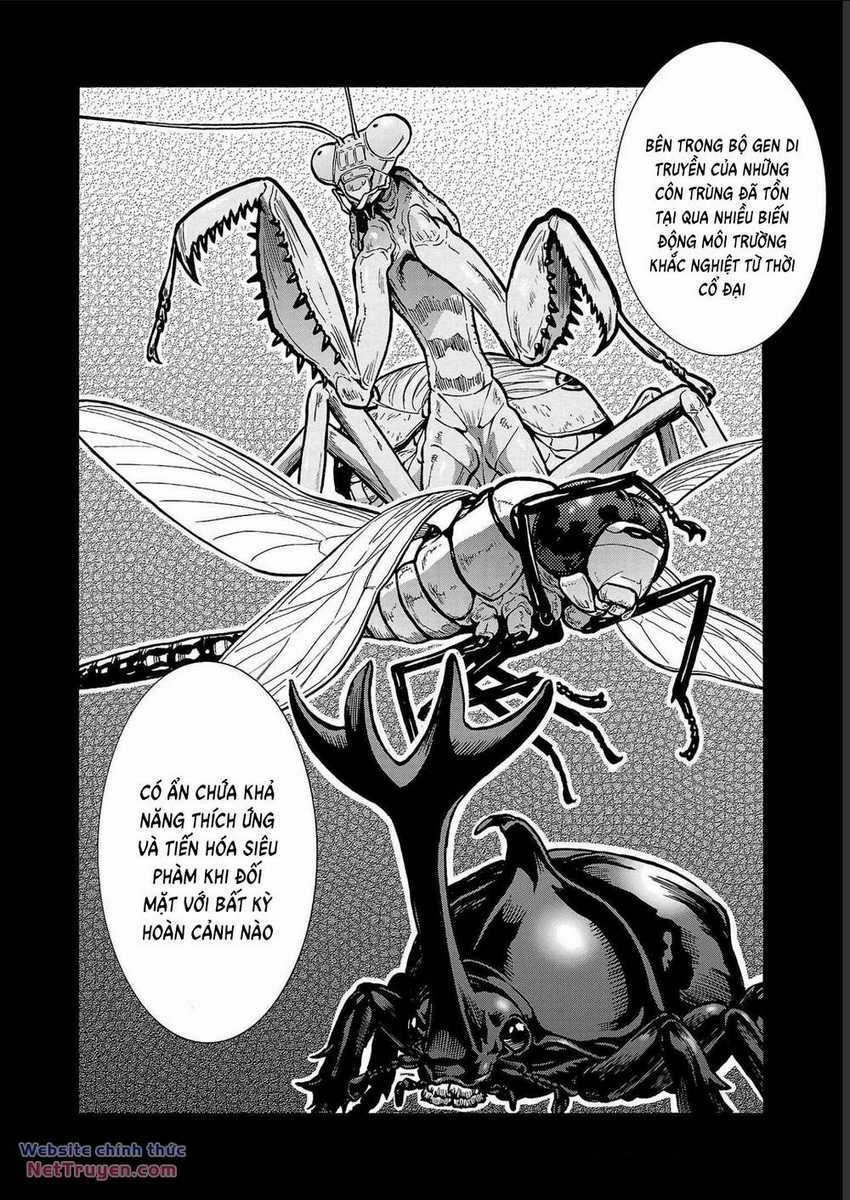 Đảo Côn Trùng - Chapter 70 - Trang 5