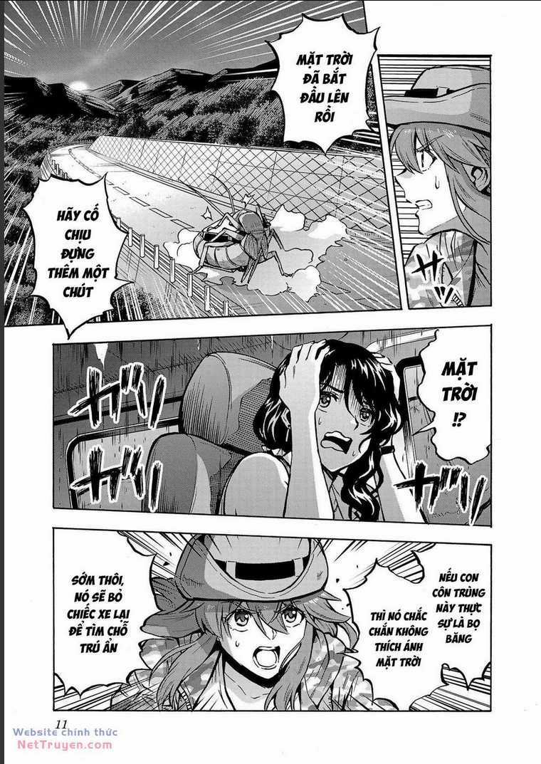 Đảo Côn Trùng - Chapter 70 - Trang 10
