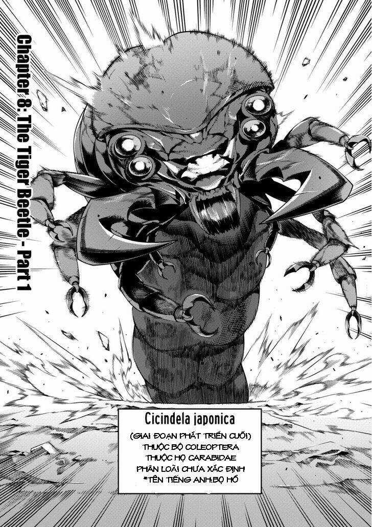 Đảo Côn Trùng - Chapter 8 - Trang 1
