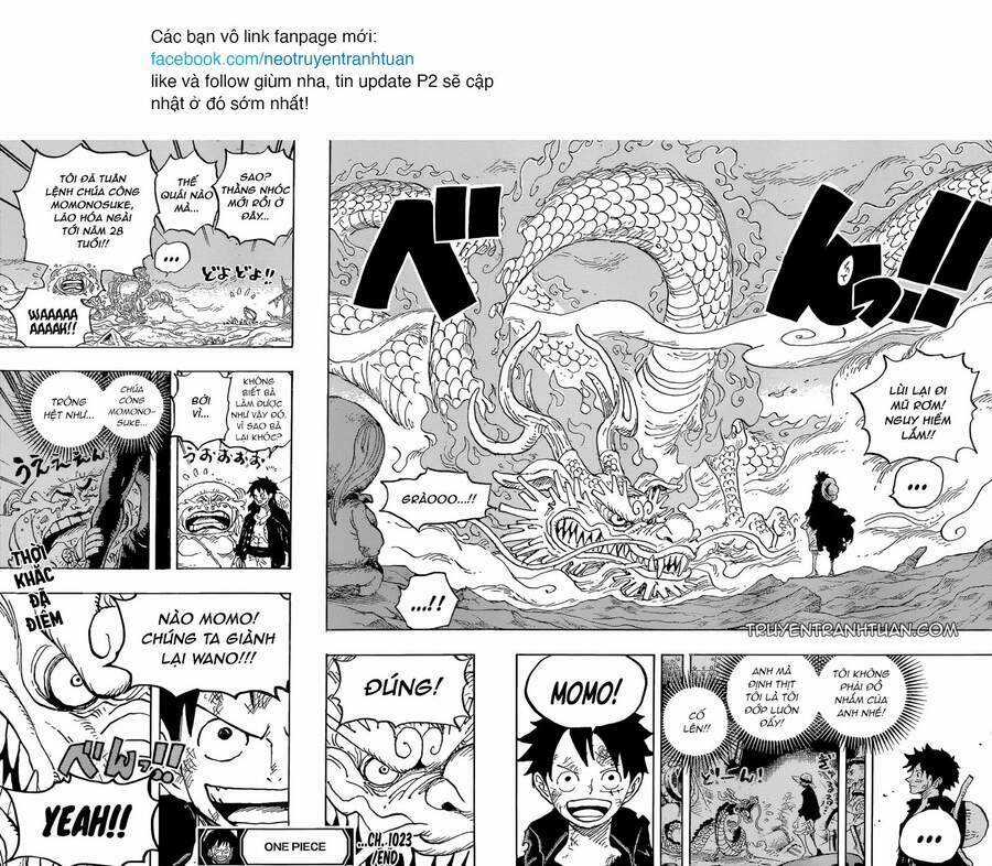 Đảo Hải Tặc - Chapter 1023 - Trang 17