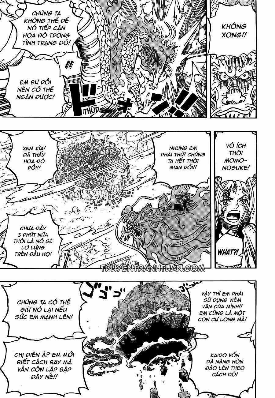 Đảo Hải Tặc - Chapter 1027 - Trang 9