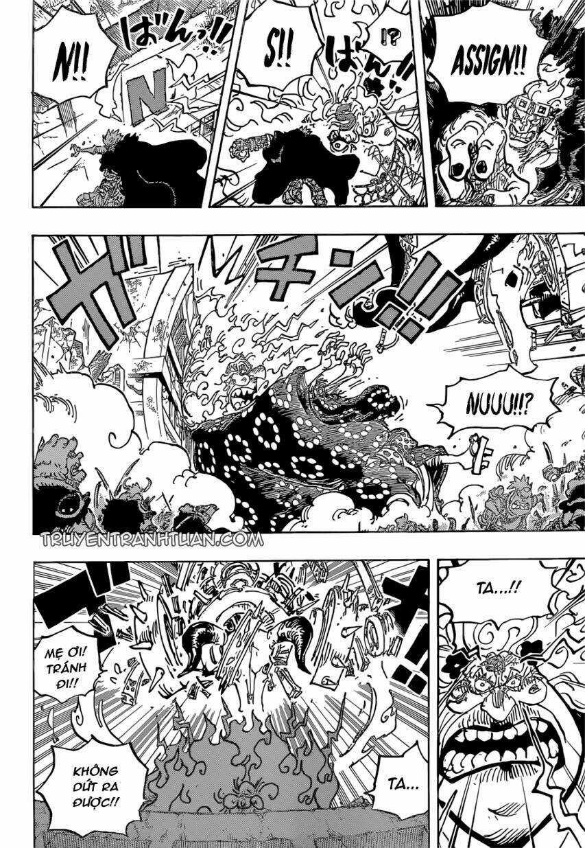 Đảo Hải Tặc - Chapter 1039 - Trang 8