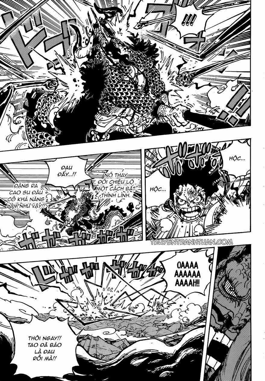 Đảo Hải Tặc - Chapter 1042 - Trang 5