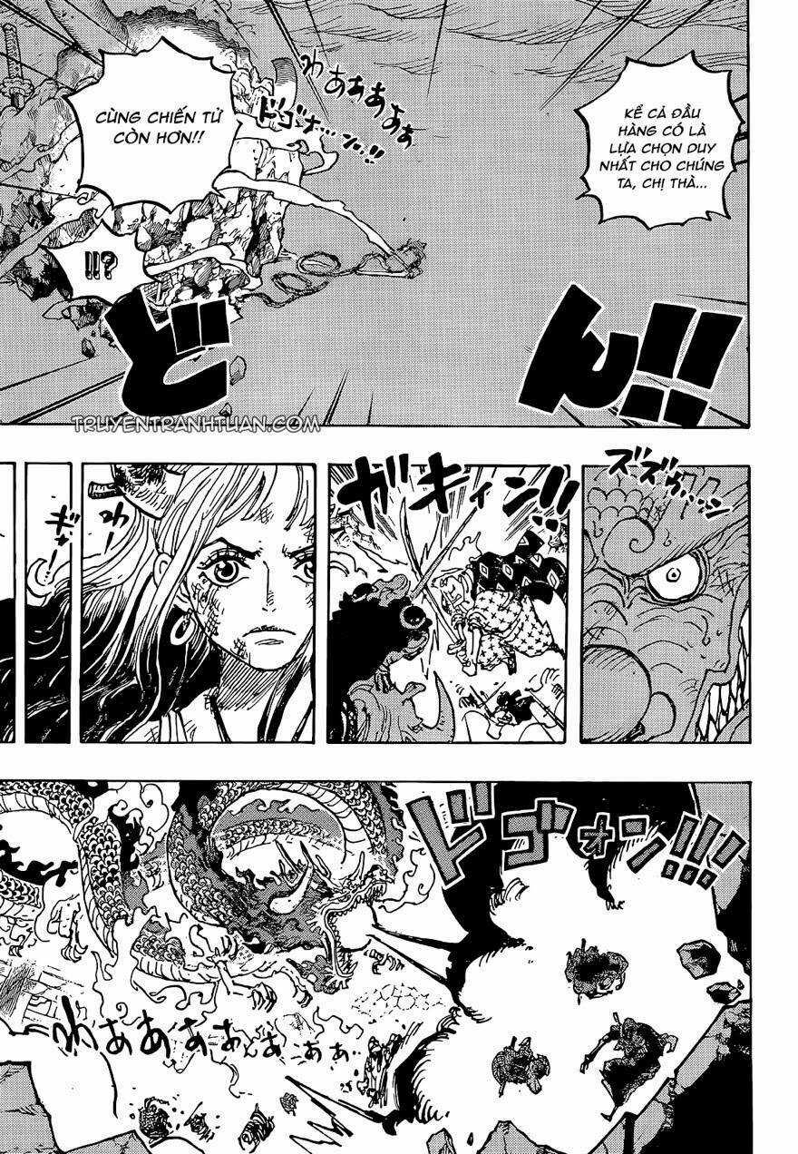 Đảo Hải Tặc - Chapter 1043 - Trang 13