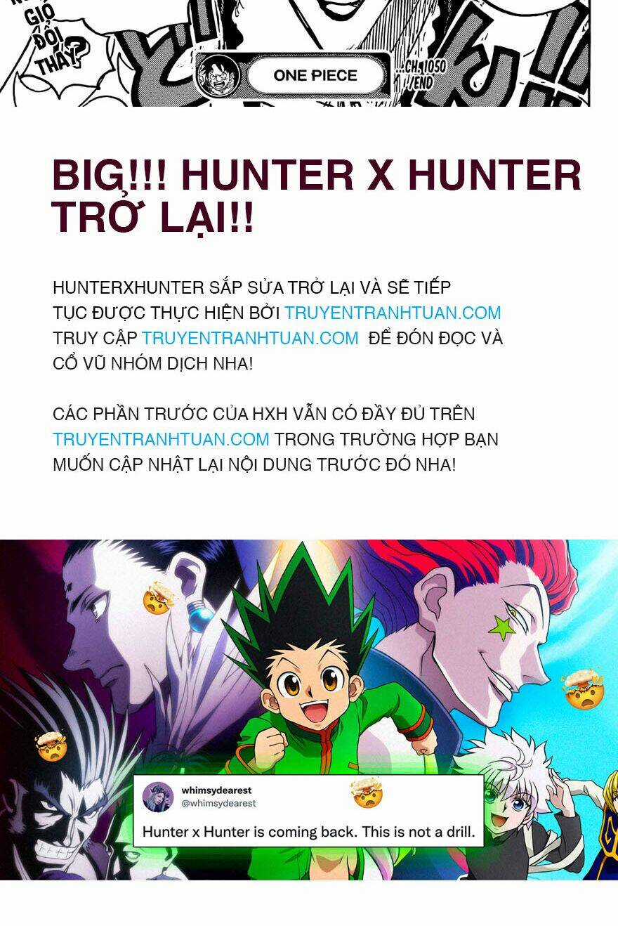 Đảo Hải Tặc - Chapter 1050 - Trang 15