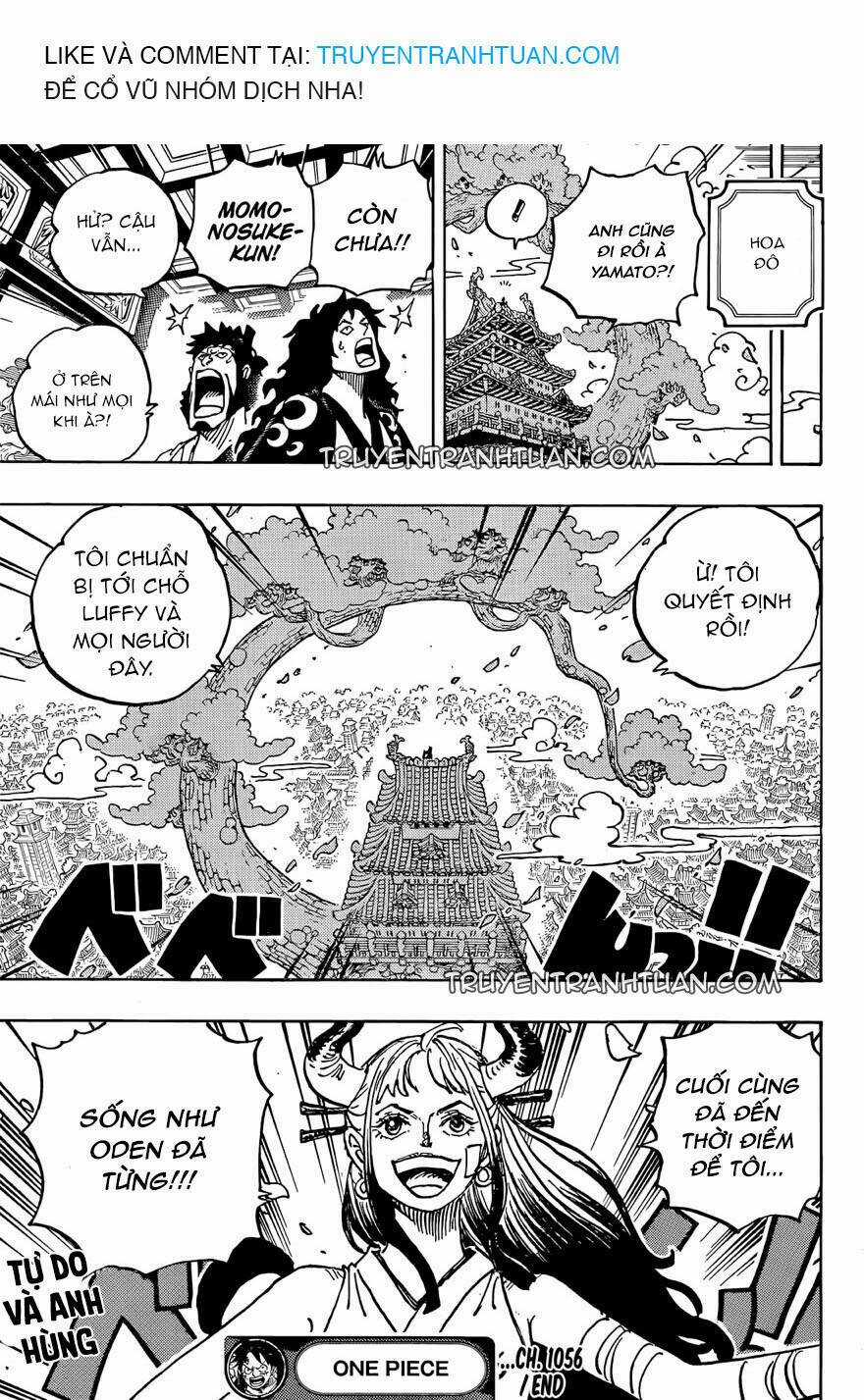 Đảo Hải Tặc - Chapter 1056 - Trang 18